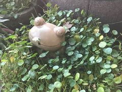 -青藤茶馆(凤起路店)