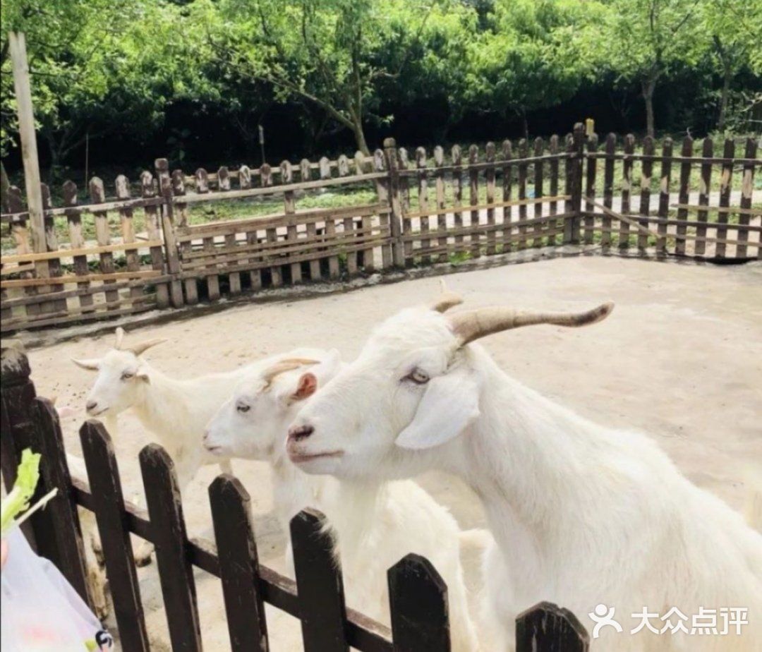 亲子农场，工作日两大一小游园巨划算