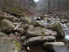 -秦岭风景区