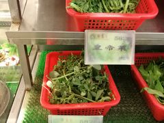 -琼菜王(南海店)
