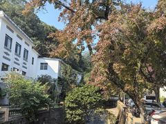 -广东温泉宾馆