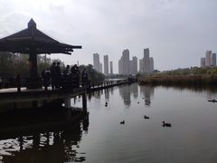 -前关湿地公园