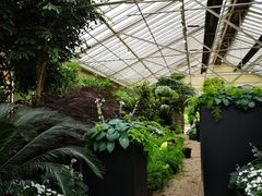 -斐兹洛伊花园