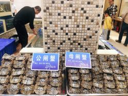 -双井轩·宴会厅