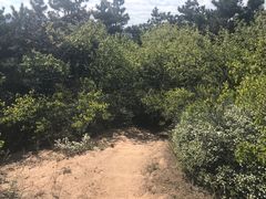 -云峰山自然风景区
