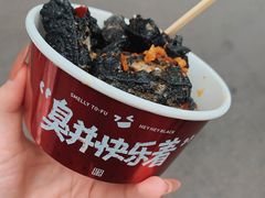 -黑色经典臭豆腐·湖南特产(步行街店)