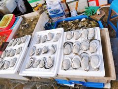 -南沙十九涌渔人码头-南门