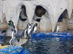 -太平洋海底世界