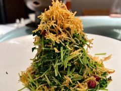 巧拌豆苗-四季民福烤鸭店(故宫店)