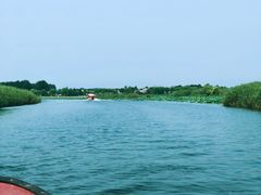-白洋淀景区
