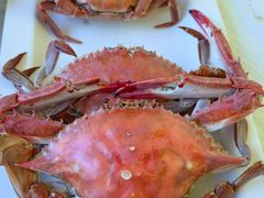 -宾朋海鲜特色美食餐厅·纯手工鲅鱼水饺(兴海路店)