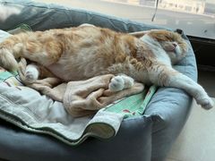 -姐妹烧烤(公安横街店)