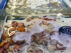 -川骄海鲜自助(河东店)