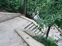 -大岭沟猕猴桃谷风景区