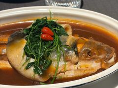 红烧河豚-肆月河豚·新淮扬菜·烤鸭(中关村店)