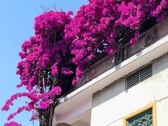 -梅州天地人花园酒店(梅县人民广场店)