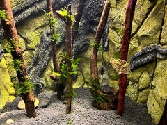 -上海海洋水族馆