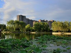 -望湖公园