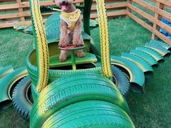 -太阳岛度假酒店