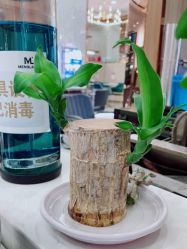 点击看大图 -Meng Lang 梦郎白金店