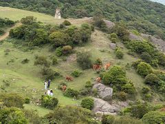 -大姆山草场