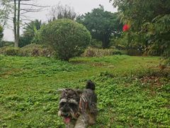 -白沙门生态公园