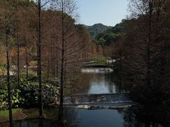 -云溪植物园