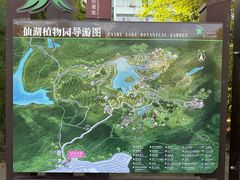 -深圳仙湖植物园