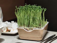 -海底捞火锅(天津SM城市广场店)
