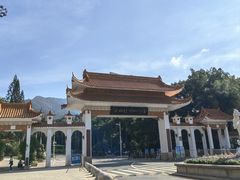 -深圳仙湖植物园