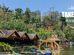 -西双版纳原始森林公园