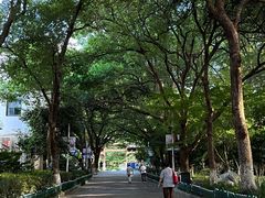 -杭州半山国家森林公园