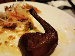 -齐河孔雀王温泉酒店·金孔雀自助百汇