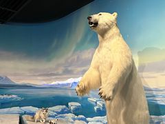 -陕西自然博物馆