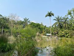 -中国科学院西双版纳热带植物园