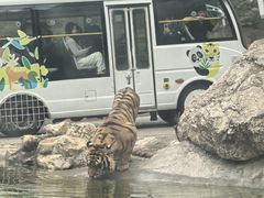 -栾川竹海野生动物园