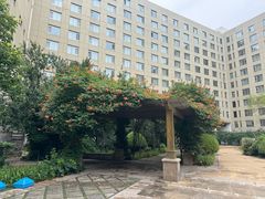 -天津滨海圣光皇冠国际酒店