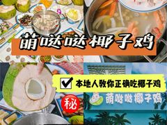 -亚龙湾热带天堂森林公园