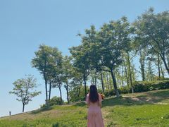 -滆湖低碳生态公园
