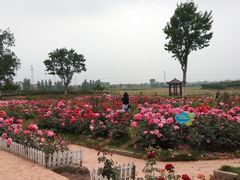 -武汉紫薇都市田园