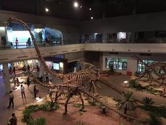 -自贡恐龙博物馆