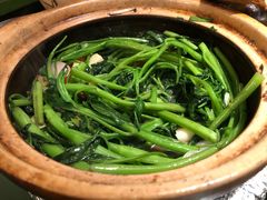 -煲煲好(朝阳门店)