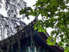-湛山寺