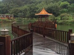 -龙山酒店温泉