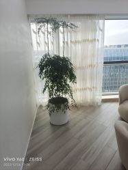 -HEYAN荷妍专业脱毛连锁机构