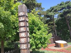 -北京西山国家森林公园