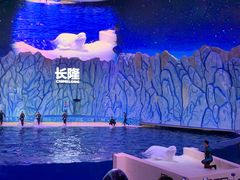 -珠海长隆海洋王国
