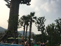 -苏州乐园森林水世界