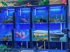 -金龙·打边炉(武进路店)