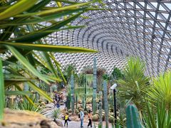 -上海辰山植物园